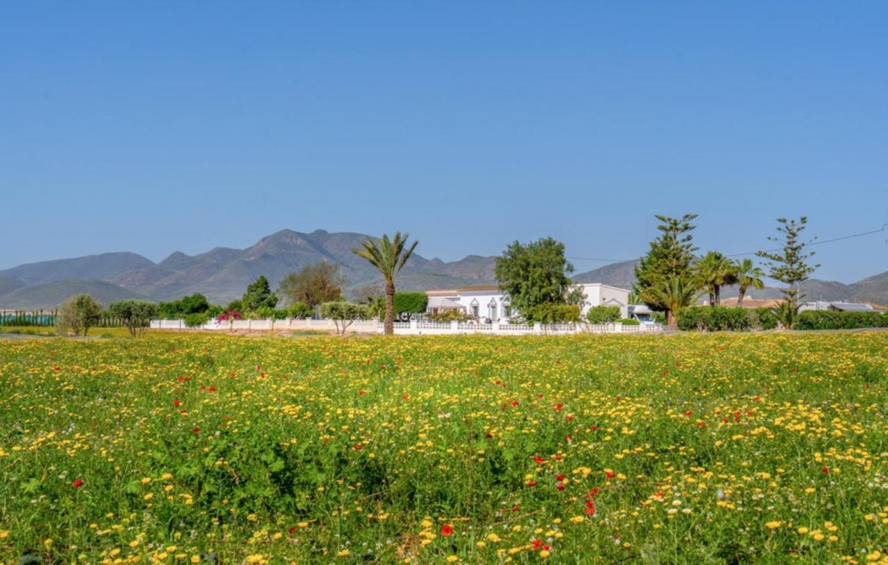 Exceptional Rico'S Country Retreat Almendricos Apartment Puerto Lumbreras Ngoại thất bức ảnh